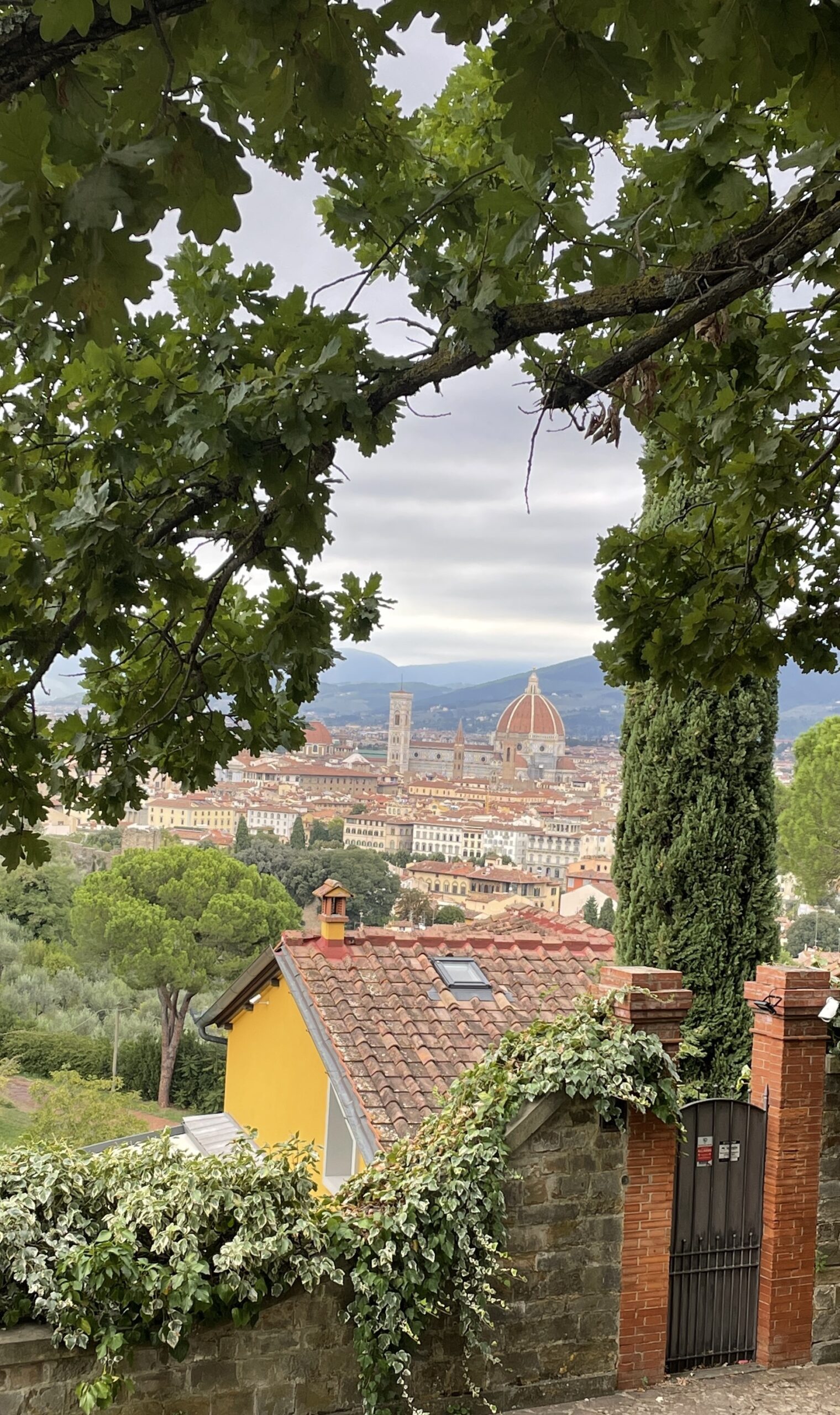 view of Florence from afar